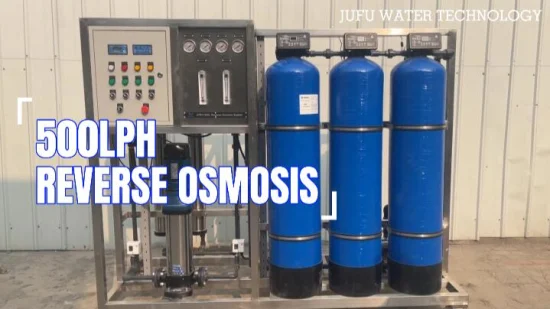 Machine industrielle de filtre à eau d'osmose d'inversion d'usine du RO 500lph